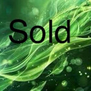 Teal Perceptions Women's Top Size 12